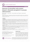 Research paper thumbnail of Expression of extracellular matrix proteins: tenascin-C, fibronectin and galectin-3 in prostatic adenocarcinoma