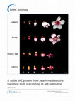 Research paper thumbnail of A stable JAZ protein from peach mediates the transition from outcrossing to self-pollination