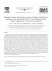 Diagenetic history and porosity evolution of Upper Carboniferous sandstones from the Spring Valley #1 well, Maritimes Basin, Canada-implications for reservoir development Cover Page