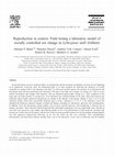 Research paper thumbnail of Reproduction in context: Field testing a laboratory model of socially controlled sex change in Lythrypnus dalli (Gilbert)