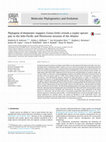 Research paper thumbnail of Phylogeny of deepwater snappers (Genus Etelis) reveals a cryptic species pair in the Indo-Pacific and Pleistocene invasion of the Atlantic