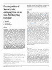 Research paper thumbnail of Decomposition of Sarcocornia quinqueflora on an Iron-Smelting Slag Substrate