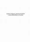 Research paper thumbnail of Criminalización de las comunidades indígenas en el Ecuador