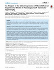 Research paper thumbnail of An Analysis of the Global Expression of MicroRNAs in an Experimental Model of Physiological Left Ventricular Hypertrophy