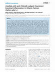 Research paper thumbnail of Candida utilis and Chlorella vulgaris Counteract Intestinal Inflammation in Atlantic Salmon (Salmo salar L.)