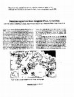 Research paper thumbnail of Permian coprolites from Graphite Peak, Antarctica