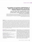 A foundation for provitamin A biofortification of maize: Genome-wide association and genomic prediction models of carotenoid levels Cover Page