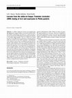 Laccase from the white-rot fungus Trametes versicolor: cDNA cloning of lcc1 and expression in Pichia pastoris Cover Page