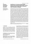 Research paper thumbnail of Identification of a tyrosine-phosphorylated 35 kDa carboxy-terminal fragment (p35CagA) of the Helicobacter pylori CagA protein in phagocytic cells: Processing or breakage?