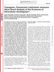 Research paper thumbnail of Transgenic, Fluorescent Leishmania mexicana Allow Direct Analysis of the Proteome of Intracellular Amastigotes