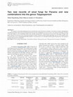 Two new records of smut fungi for Panama and new combinations into the genus Tolyposporium Cover Page