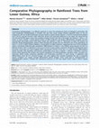 Research paper thumbnail of Comparative Phylogeography in Rainforest Trees from Lower Guinea, Africa