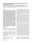 Research paper thumbnail of The atherogenic lipoprotein Lp(a) is internalized and degraded in a process mediated by the VLDL receptor