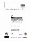 Cambio y oportunidad: la responsabilidad social corporativa como fuente de competitividad en pequeñas y medianas empresas en América Latina y el Caribe Cover Page