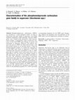 Research paper thumbnail of Characterisation of the phosphoenolpyruvate carboxylase gene family in sugarcane ( Saccharum spp.)