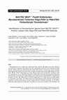 Research paper thumbnail of BACTEC MGIT Pozitif Kültürlerden Mycobacterium Türlerinin Oligo-FISH ve PNA-FISH Yöntemleriyle Tanımlanması