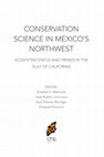 Research paper thumbnail of Productivity changes in the Magdalena margin, Mexico Baja California peninsula during the past 50,000 years