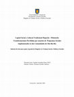 Capital Social y Cultural Tradicional Mapuche - Pehuenche: Transformaciones Percibidas por usuarios de  Programas Sociales Implementados en dos Comunidades de Alto Bío Bío. Cover Page