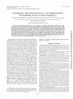 Research paper thumbnail of Identification and characterization of single strand DNA-binding protein that represses growth hormone receptor gene expression