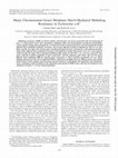 Research paper thumbnail of Many chromosomal genes modulate MarA-mediated multidrug resistance in Escherichia coli