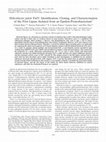 Research paper thumbnail of Helicobacter pylori EstV: Identification, Cloning, and Characterization of the First Lipase Isolated from an Epsilon-Proteobacterium