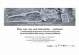 Research paper thumbnail of Row, row, row your boat gently… upstream: a methodological approach to access Portuguese bioarchaeological data using a computer database