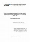 Research paper thumbnail of SÃO PAULO AGRÁRIO: REPRESENTAÇÕES DA DISPUTA TERRITORIAL ENTRE CAMPONESES E RURALISTAS ( 2012) por Tiago Egídio Avanço CUBAS