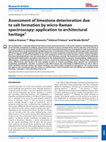 Assessment of limestone deterioration due to salt formation by micro-Raman spectroscopy: application to architectural heritage Cover Page