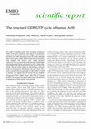 Research paper thumbnail of The structural GDP/GTP cycle of human Arf6