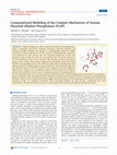 Research paper thumbnail of Computational Modeling of the Catalytic Mechanism of Human Placental Alkaline Phosphatase (PLAP