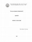 Processos Químicos Industriais II Apostila 4 PAPEL E CELULOSE Cover Page