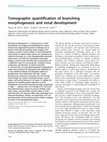 Research paper thumbnail of Tomographic quantification of branching morphogenesis and renal development