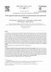 Research paper thumbnail of Self-organized epitaxial growth on spontaneously nano-patterned templates