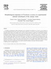 Research paper thumbnail of Morphological responses of Posidonia oceanica to experimental nutrient enrichment of the canopy water