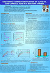 Research paper thumbnail of Enzymatic Transesterification of Olive Oil and Caprylic Acid in a Solvent System