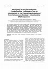 Mitochondrial DNA Phylogeny and Sequential Colonization of Canary Islands by Darkling Beetles of the Genus Pimelia (Tenebrionidae Cover Page