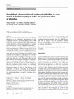 Research paper thumbnail of Morphologic characteristics of esophageal epithelium in a rat model of duodenoesophageal reflux and protective effect of lafutidine