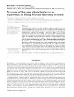 Research paper thumbnail of Structure of flow over alluvial bedforms: an experiment on linking field and laboratory methods