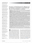 Anatomic and Neurophysiological Methods for the Targeting and Lesioning of the Subthalamic Nucleus: Cuban Experience and Review Cover Page