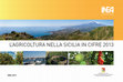 L'agricoltura nella Sicilia in cifre 2013 Cover Page