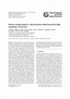 Research paper thumbnail of Remote sensing of glacier and permafrost-related hazards in high mountains: an overview