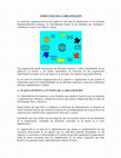 Research paper thumbnail of ESTRUCTURA DE LA ORGANIZACIÓN