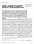 Research paper thumbnail of Neuropilin-1 and heparan sulfate proteoglycans cooperate in cellular uptake of nanoparticles functionalized by cationic cell-penetrating peptides