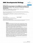 Research paper thumbnail of Cloning and characterization of microRNAs from rainbow trout (Oncorhynchus mykiss): Their expression during early embryonic development