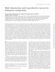 Research paper thumbnail of Male bimaturism and reproductive success in Sumatran orang-utans