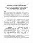 Research paper thumbnail of Enraizamento de diferentes tipos de estacas de oliveira (Olea europaea L.) utilizando ácido indolbutírico