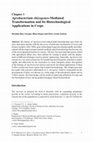 Agrobacterium rhizogenes -mediated transformation of Picrorhiza kurroa Royle ex Benth.: establishment and selection of superior hairy root clone Cover Page