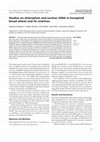 Research paper thumbnail of Studies on chloroplast and nuclear rDNA in hexaploid bread wheat and its relatives