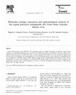 Research paper thumbnail of Molecular cloning, expression and immunological analysis of the capsid precursor polypeptide (P1) from swine vesicular disease virus