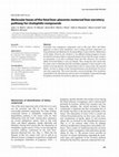 Research paper thumbnail of Molecular bases of the fetal liver-placenta-maternal liver excretory pathway for cholephilic compounds: Fetal liver-placenta-maternal liver excretory pathway